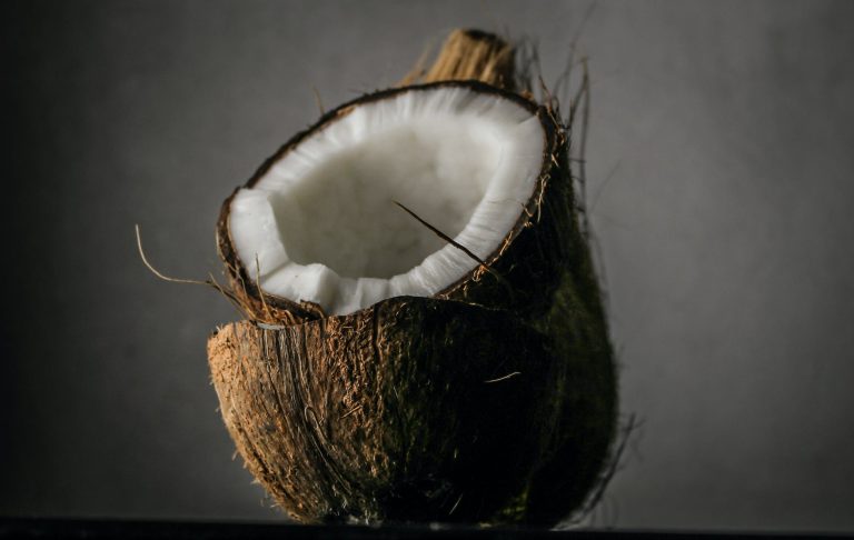 close up photo of coconut